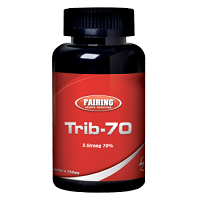 Trib 70 från fairing